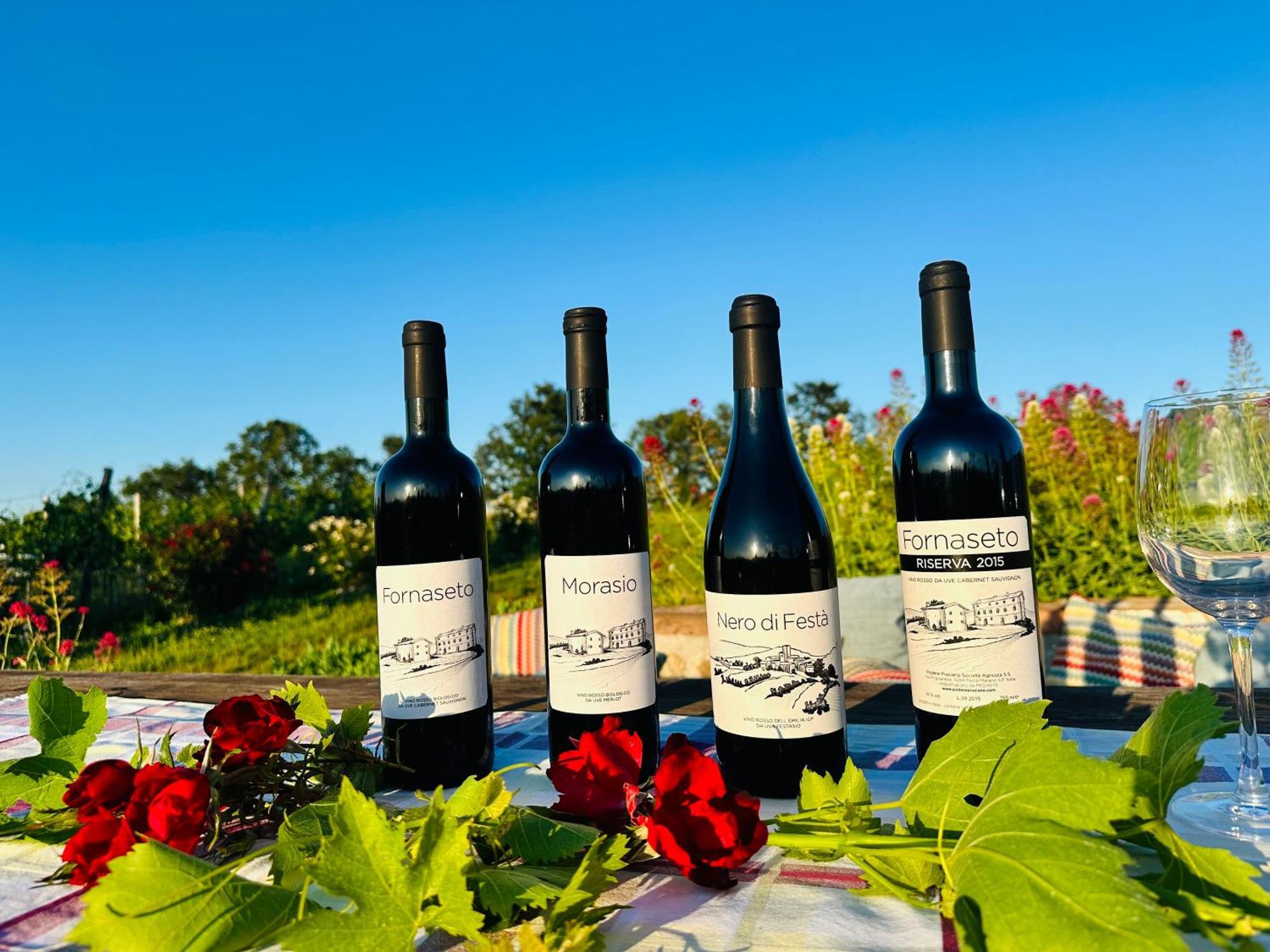 Agriturismo Podere Prasiano Marano sul Panaro Екстериор снимка