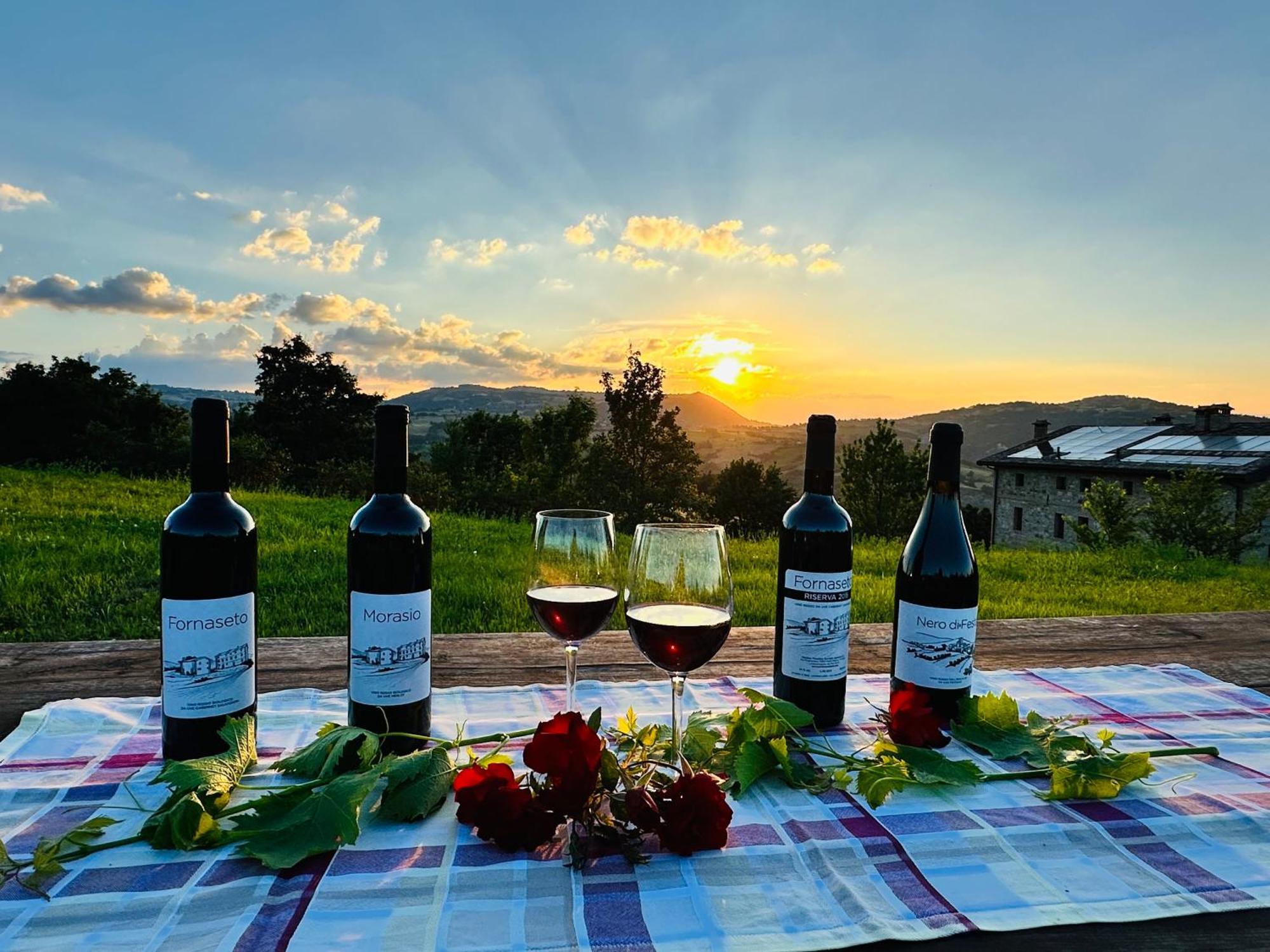 Agriturismo Podere Prasiano Marano sul Panaro Екстериор снимка